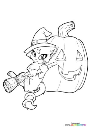 Hallween cat with a broom coloring page