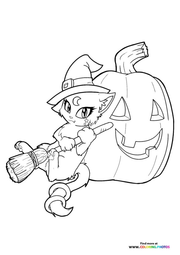 Hallween cat with a broom coloring page