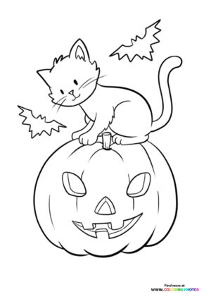 Hallween cat on a pumpkin coloring page