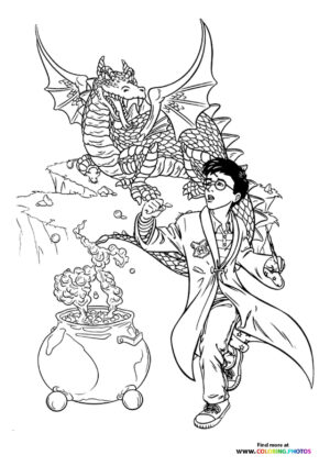 Harry Potter with Dragon