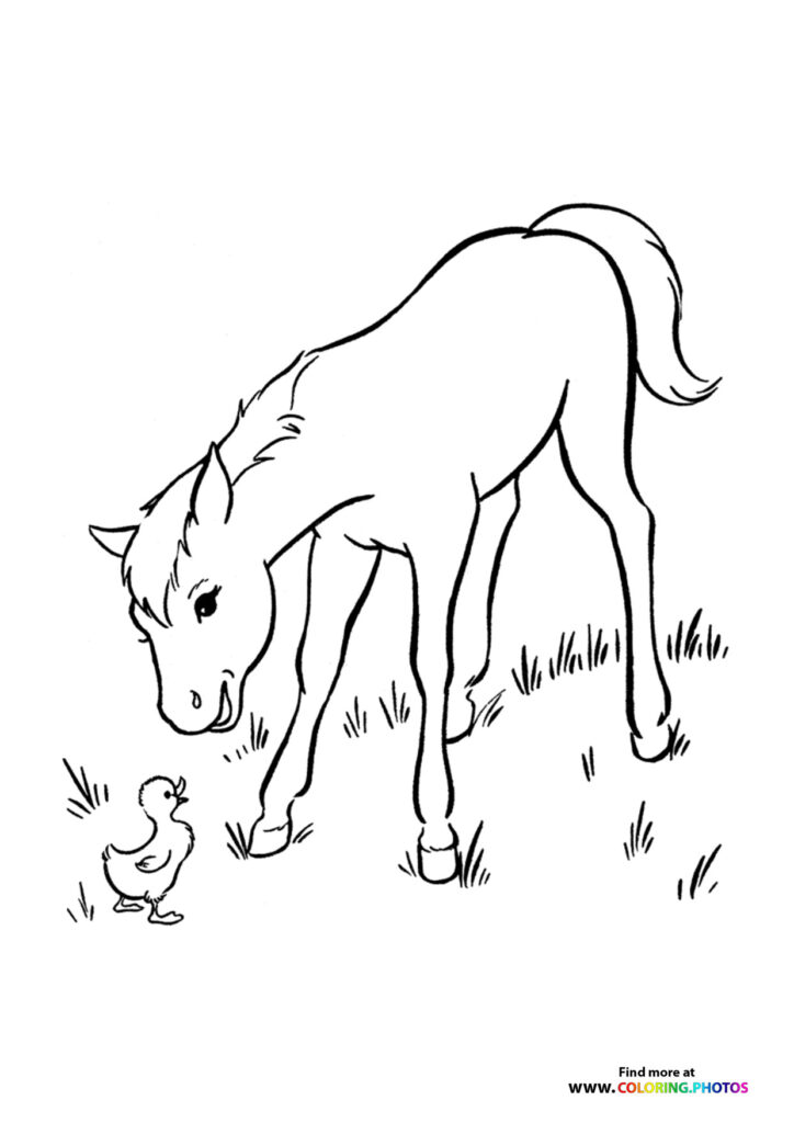 Horse bending down to a duckling in grass coloring page