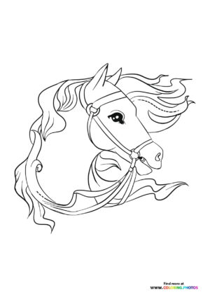 Horse portrait