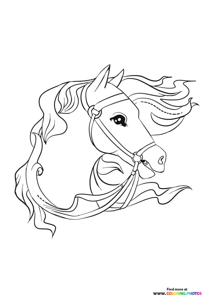 Elegant horse head with flowing mane, bridle, and decorative bow coloring page