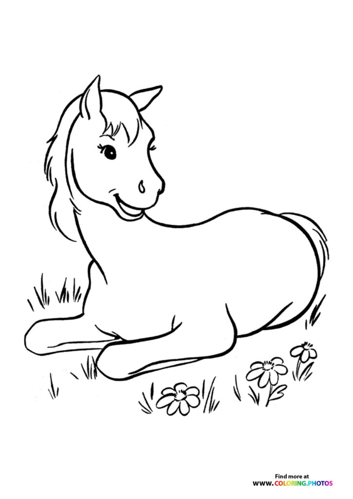 Young foal lying in grass with flowers, horse coloring page