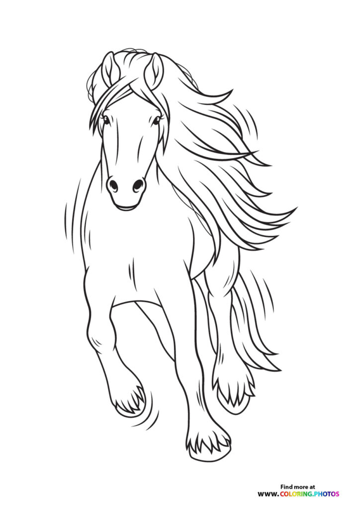 Majestic horse with flowing mane and tail walking forward, detailed coloring page