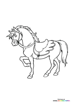 Horse with a saddle
