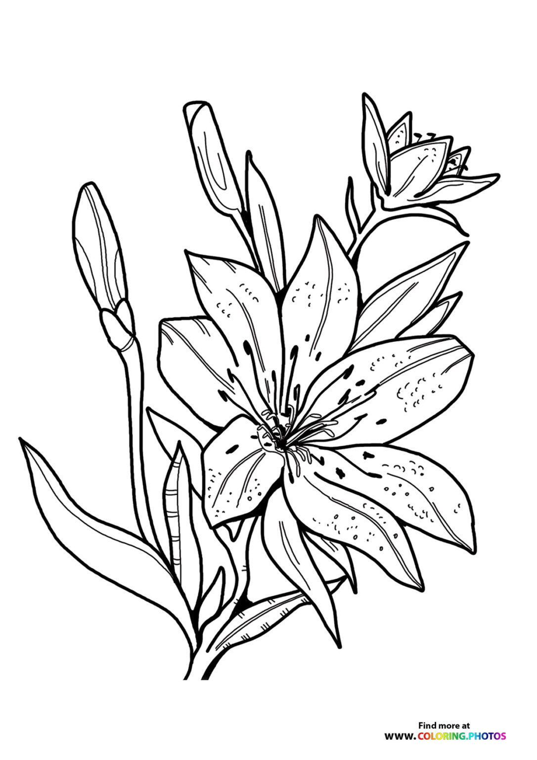 Easter Lily Coloring Pages for kids