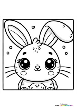 Little bunny portrait