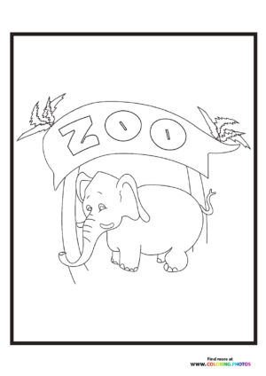 Little zoo elephant