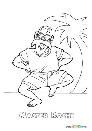Master Roshi Dragon Ball Z