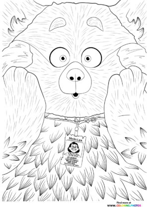 Mei Lee confused panda