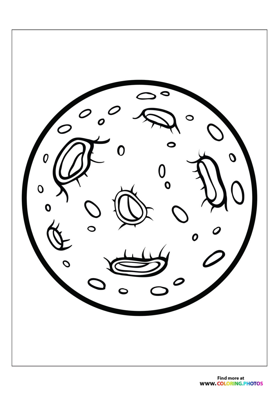 Moon - Coloring Pages for kids