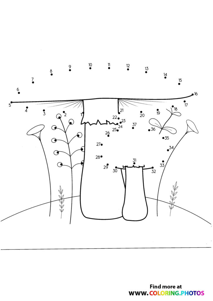 Two flower vases with blooming plants and stems dot to dot coloring page with 37 numbered dots