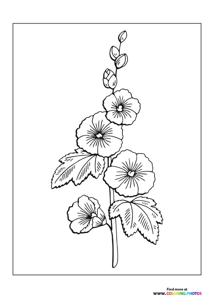 Flowers - Coloring Pages for kids | Free and easy print or download
