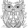 Own on a skull coloring for adults