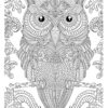 Owl coloring page for adults