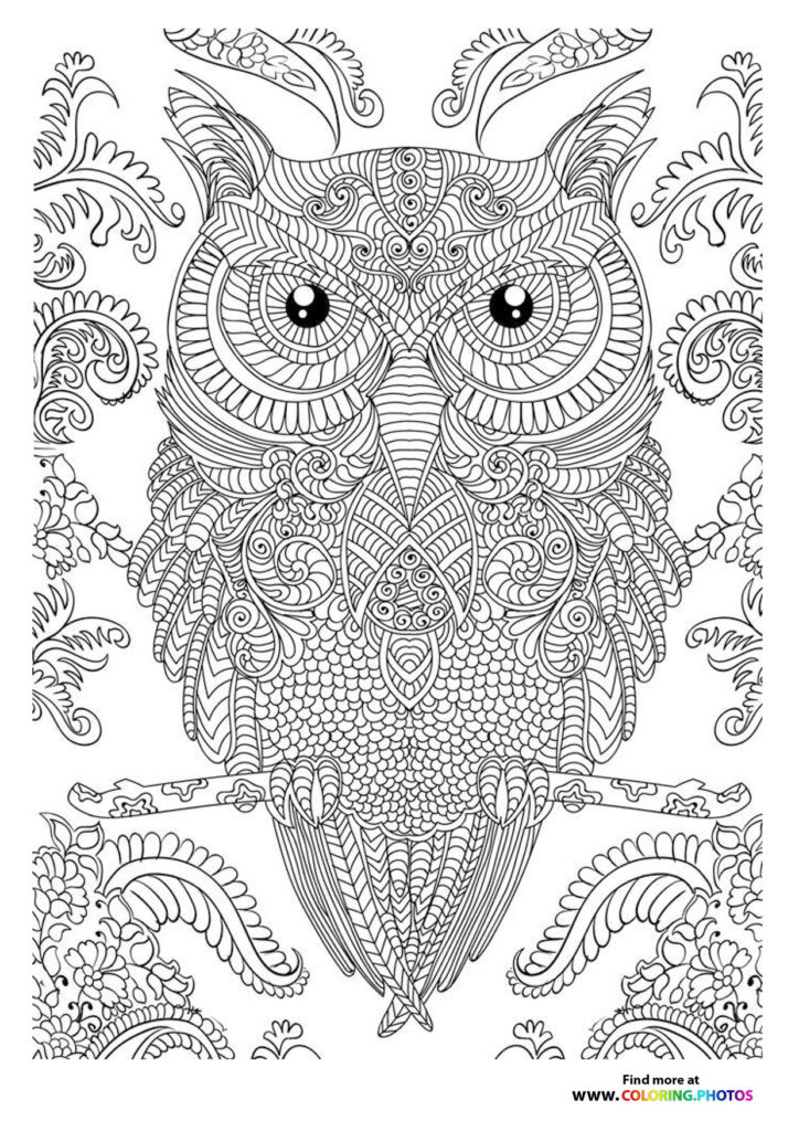Intricately patterned decorative owl with geometric eyes and ornamental feather details coloring page