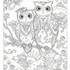 Owls coloring page for adults