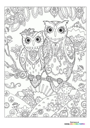 Owls coloring page for adults