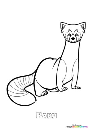 Pabu Legend Of Korra