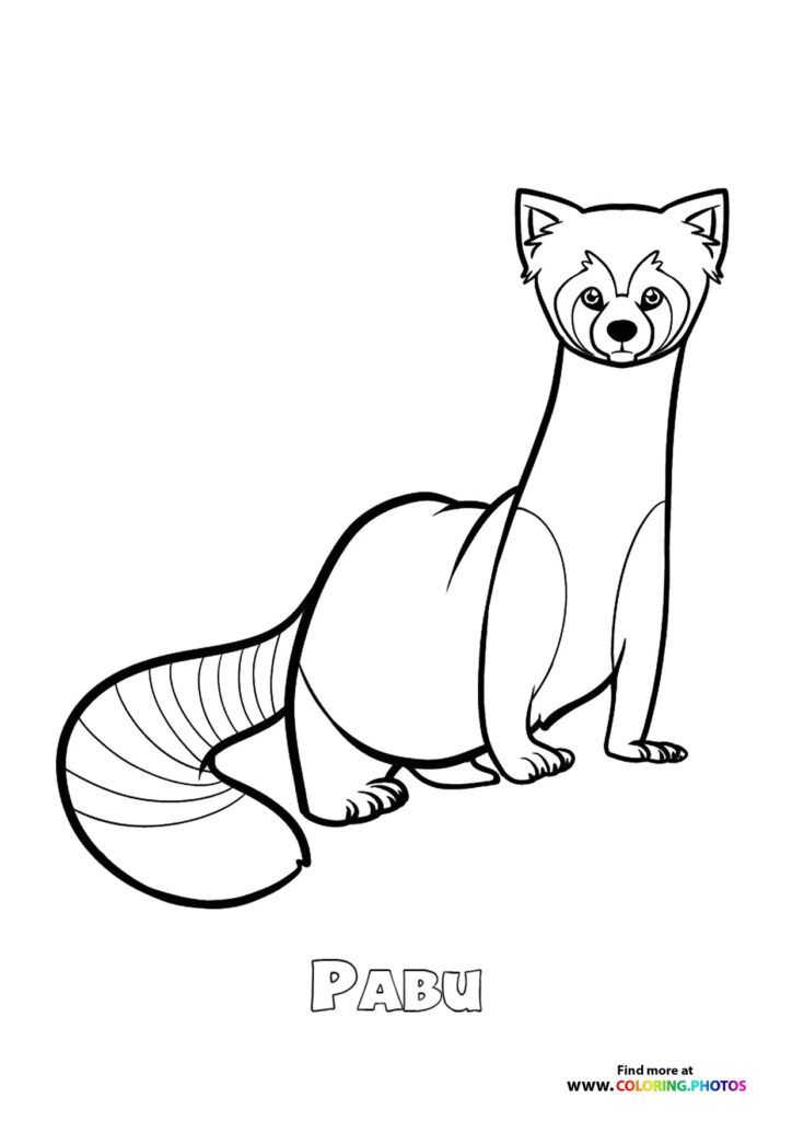 Pabu the red panda from The Legend of Korra with striped tail coloring page