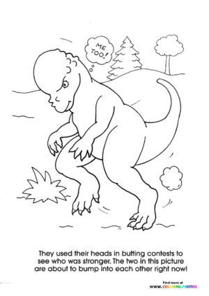 Pachycephalosaurus butting heards