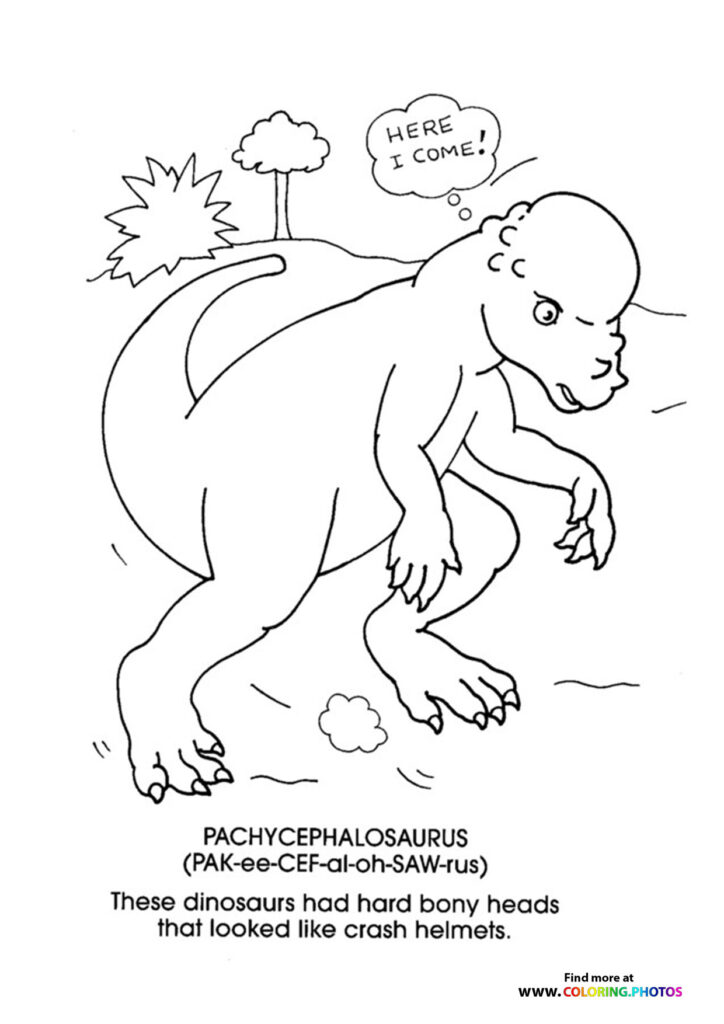 Pachycephalosaurus with large dome head running toward trees, saying 'Here I come!' dinosaur coloring page