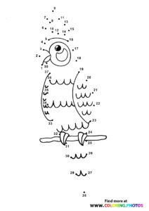 Parrot Dot The Dots - Coloring Pages For Kids