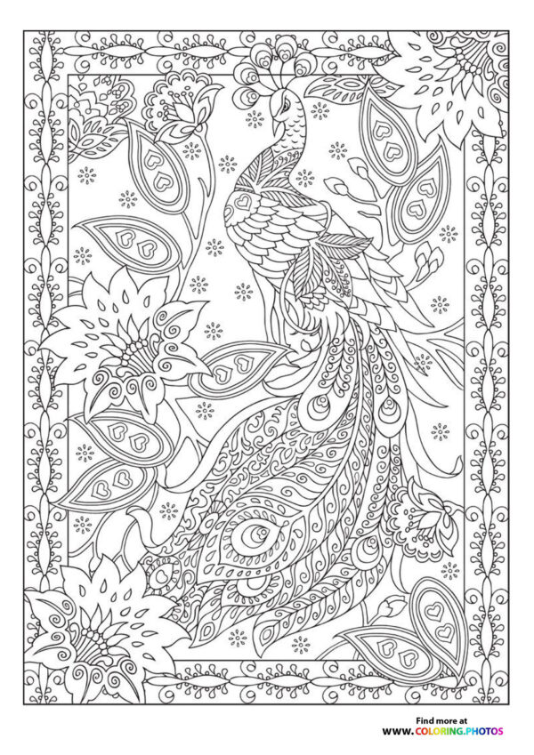 Peacock in flowers coloring page for adults