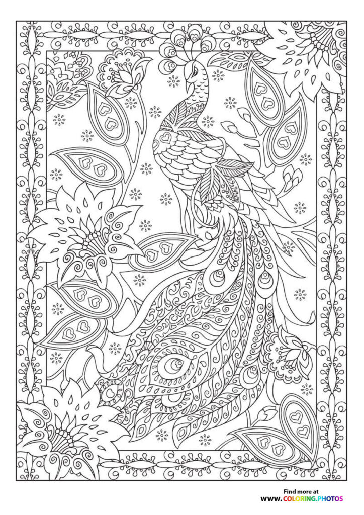 Ornate peacock with detailed tail feathers surrounded by flowers and decorative borders coloring page