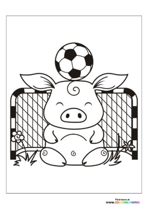 Pig football goalie