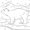 Winter polar bear coloring page