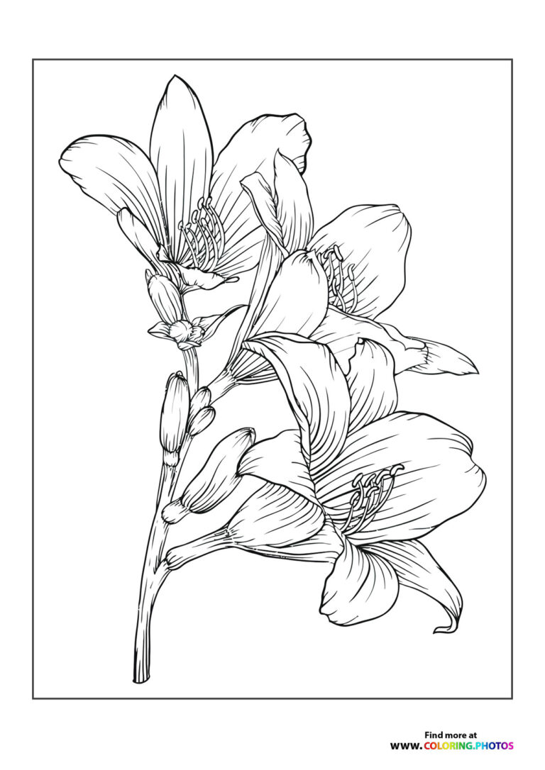 Pretty flowers - Coloring Pages for kids