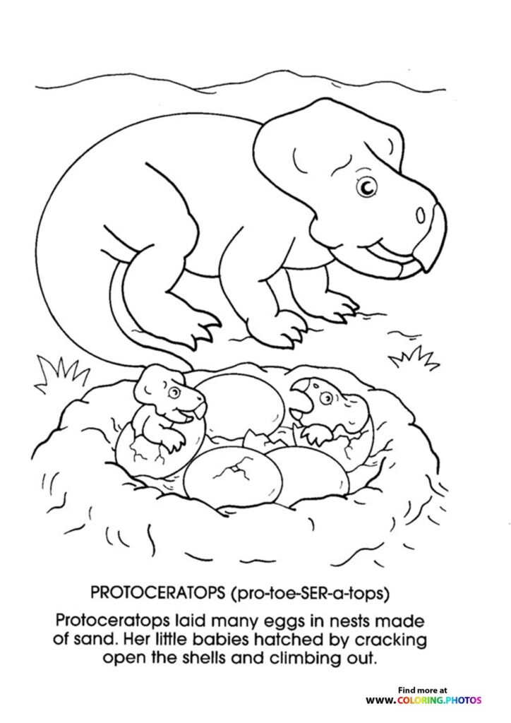Protoceratops mother dinosaur with three baby dinosaurs hatching from eggs in a nest coloring page