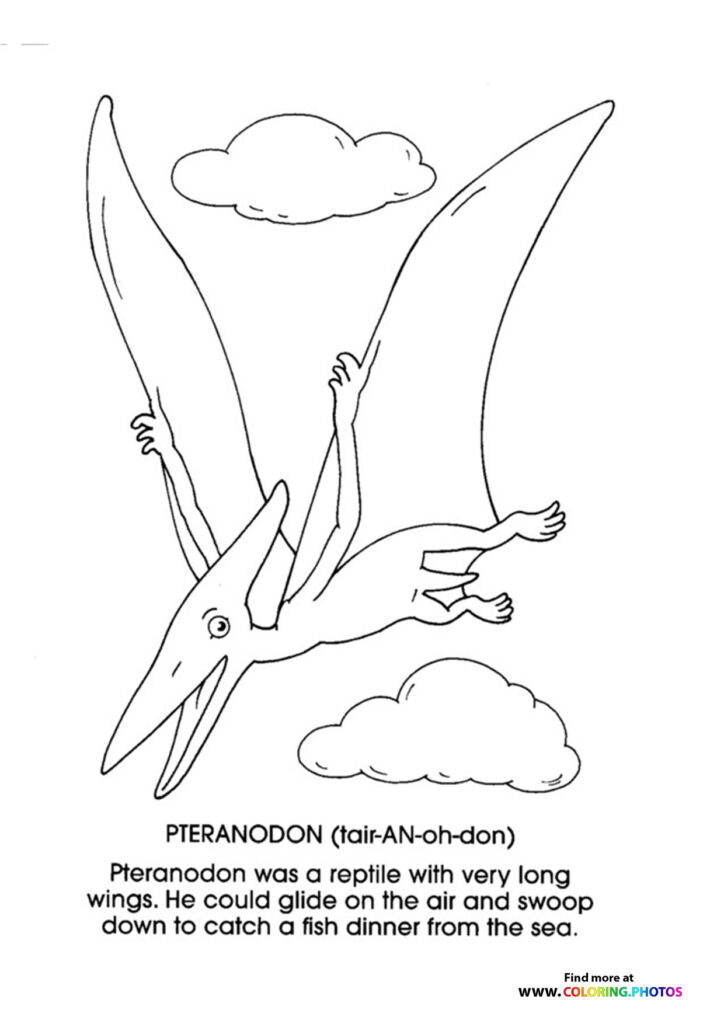 Pteranodon with large wings spread wide, flying above clouds coloring page