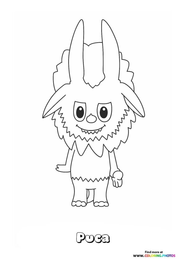 Puca
