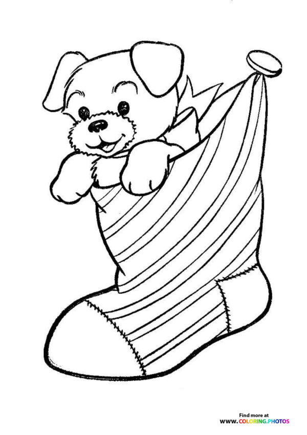 Puppy in a christmas stocking coloring page