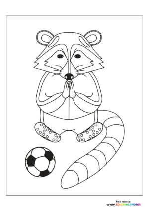 Racoon playing football