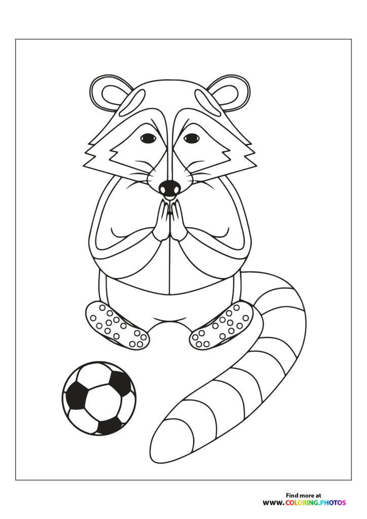 Raccoon Soccer Player