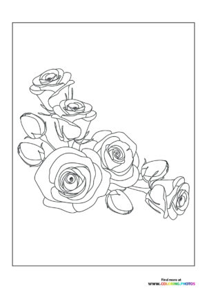 Roses arrangament