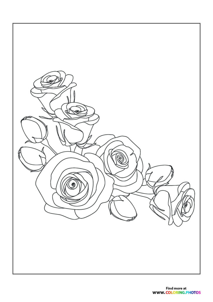 Rose bouquet with multiple blooms and buds in various stages of opening coloring page