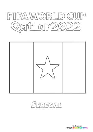 Senegal World Cup flag