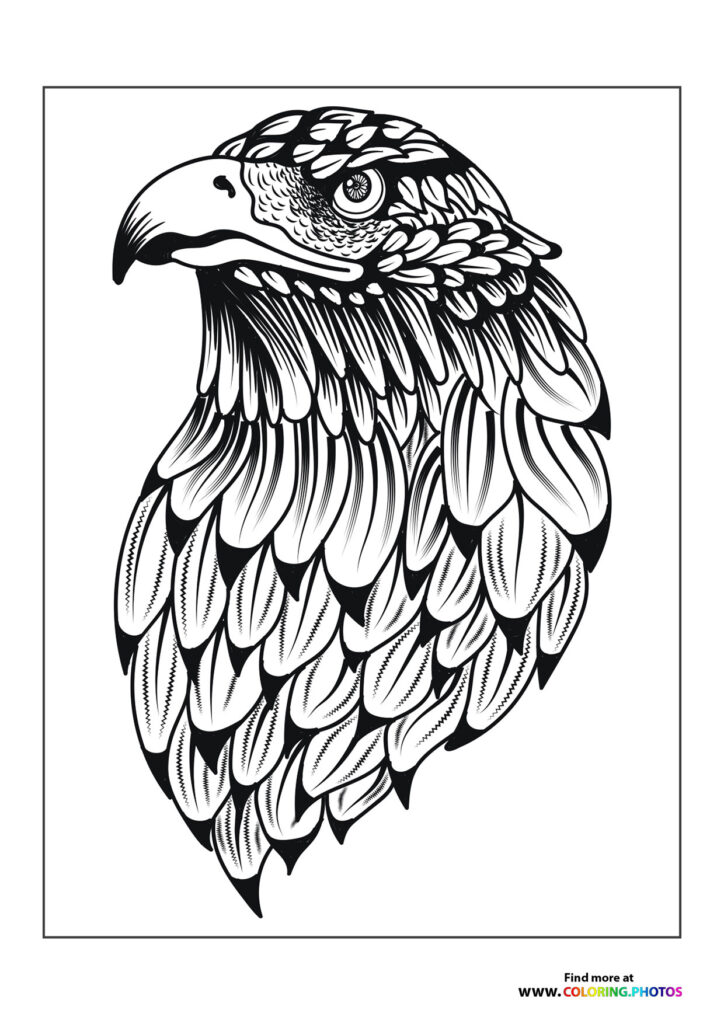 Eagles - Coloring Pages for kids | Free and easy print or download