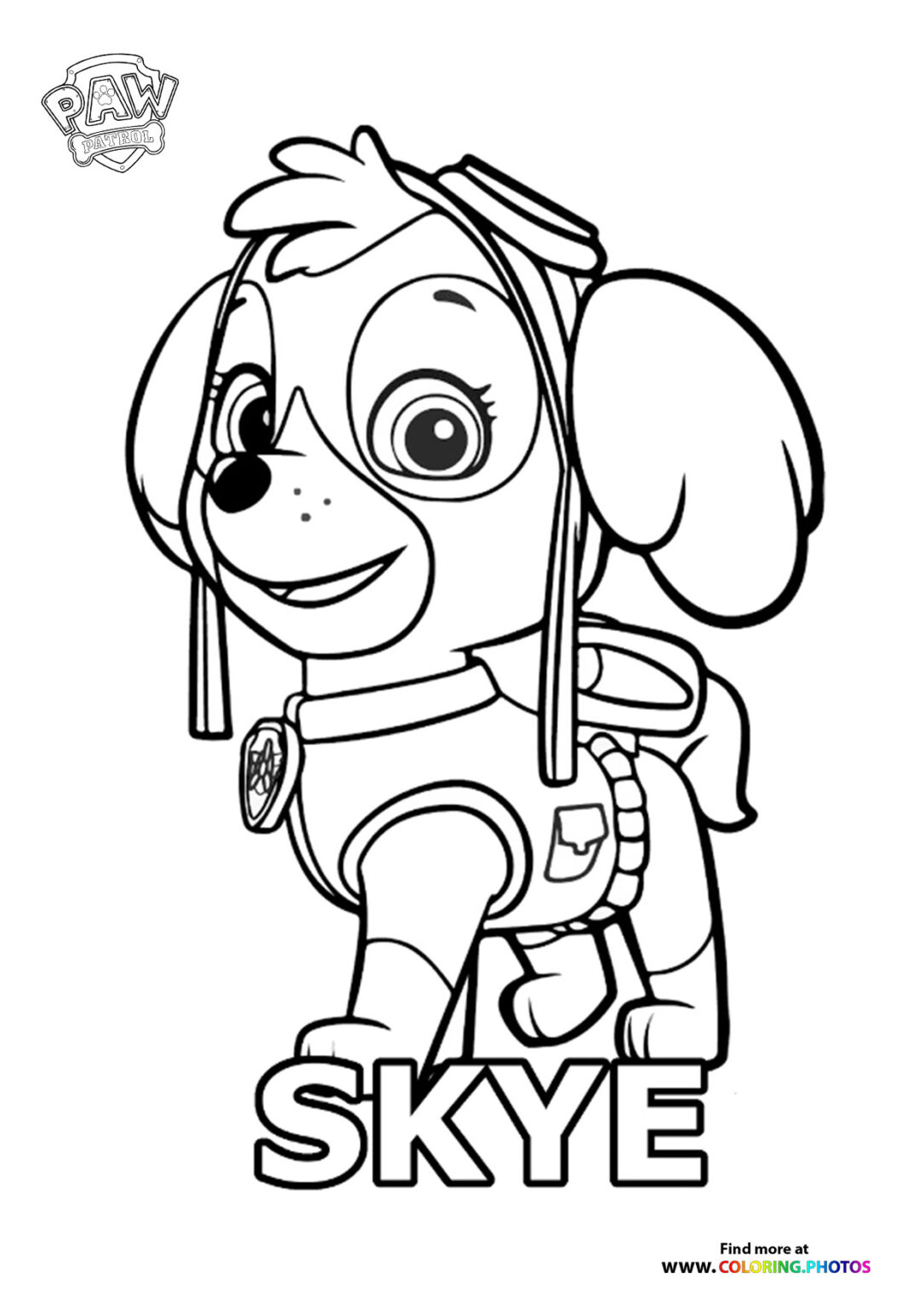 paw-patrol-skye-girls