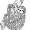 Sloth coloring page for adults