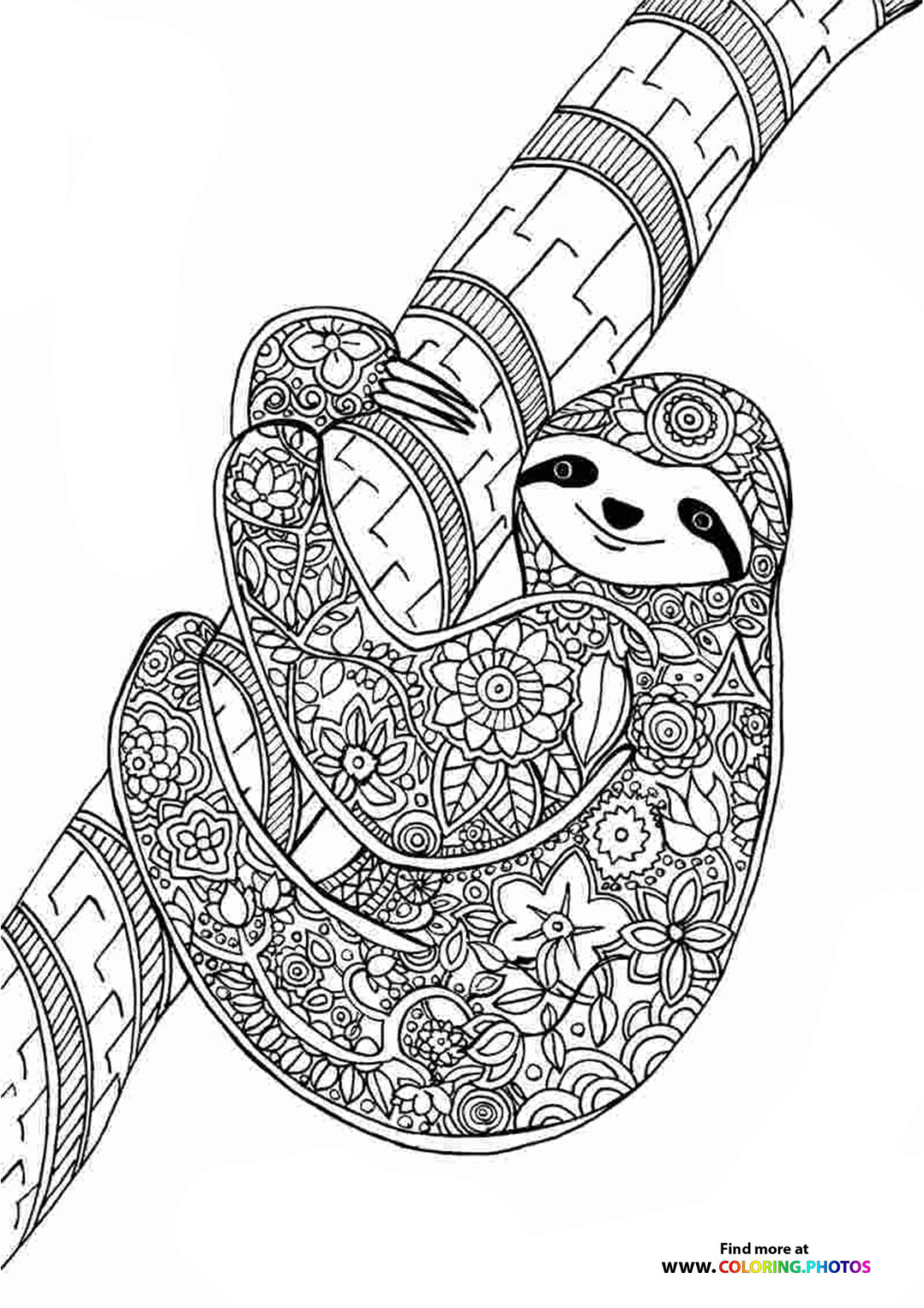 Sloth coloring page for adults - Coloring Pages for kids