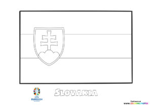Slovakia flag Euro 2024