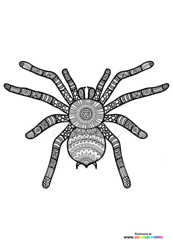 Ornamental tarantula spider with patterned legs and detailed mandala-style abdomen tattoo coloring page
