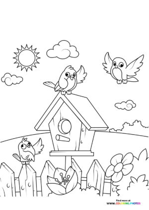 Spring birds in birdhouse