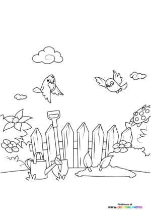 Spring time in backyard